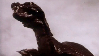 Illustration for article titled Here Are Some of the Weirdest-Looking Creatures From Doctor Who